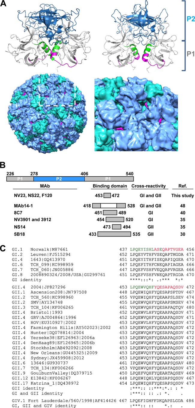 FIG 6