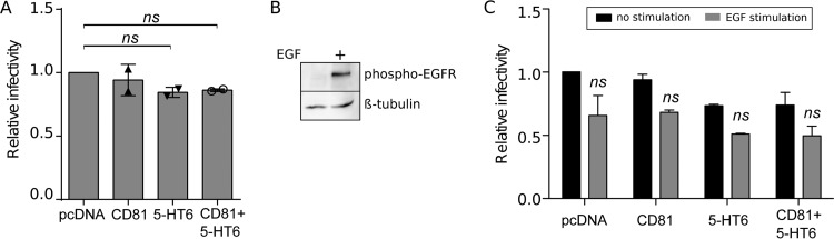 FIG 8