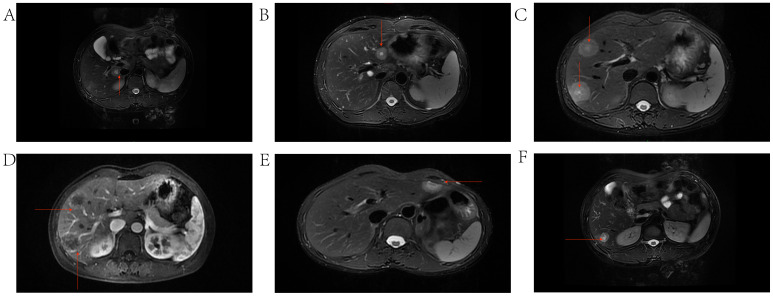 Figure 6