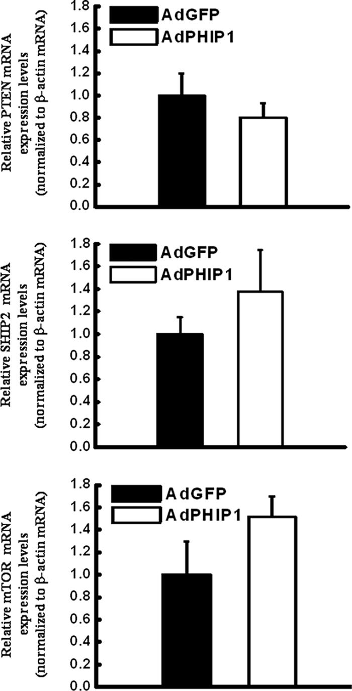 FIG. 8.