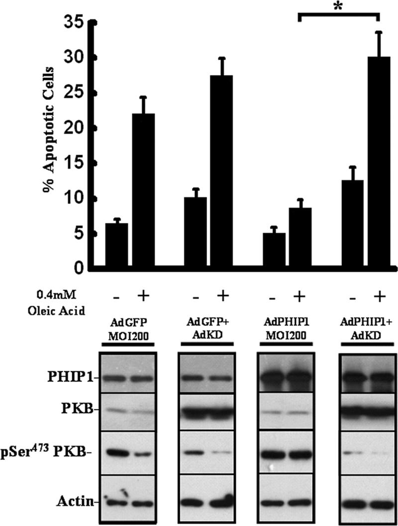 FIG. 7.