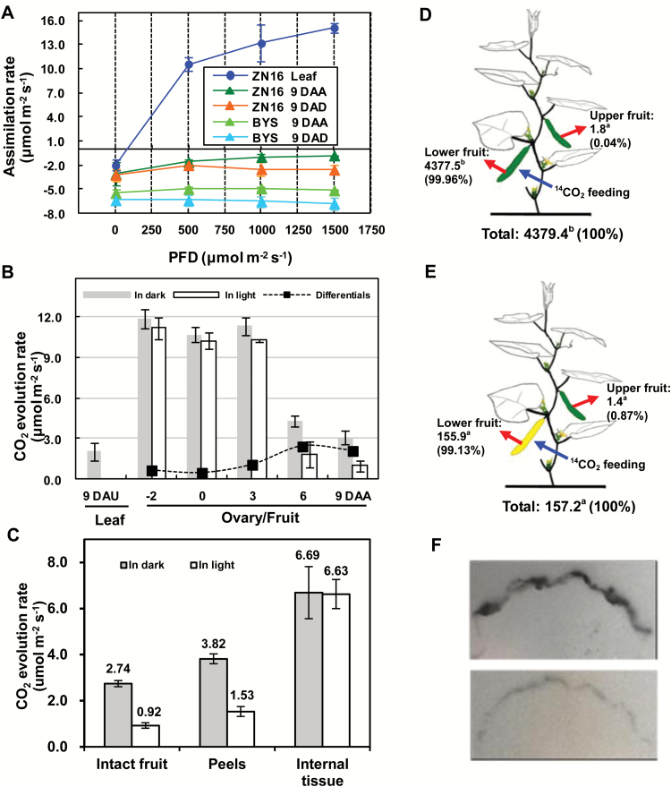 Fig. 7.