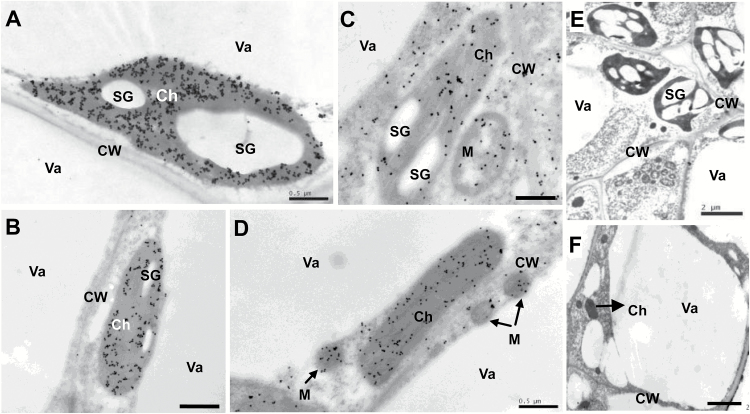 Fig. 5.