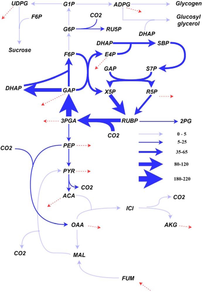 Figure 2.