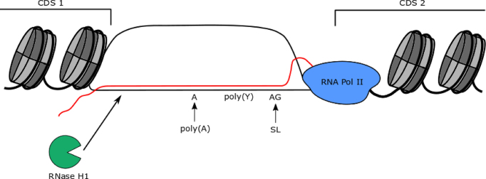 Figure 9.