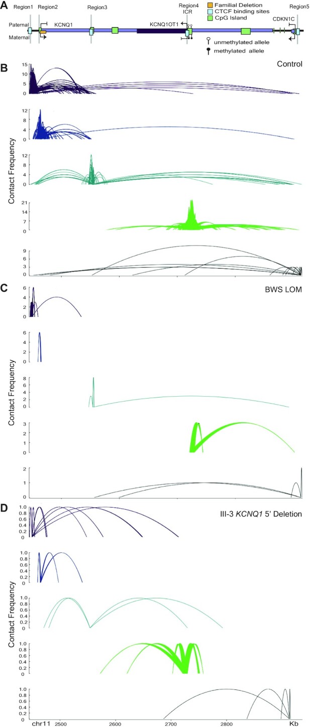 Figure 5.