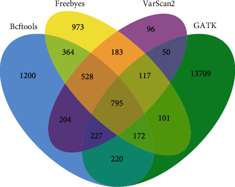 Figure 11