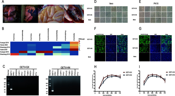 FIG 1