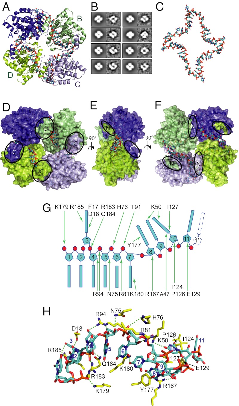 Fig. 4.