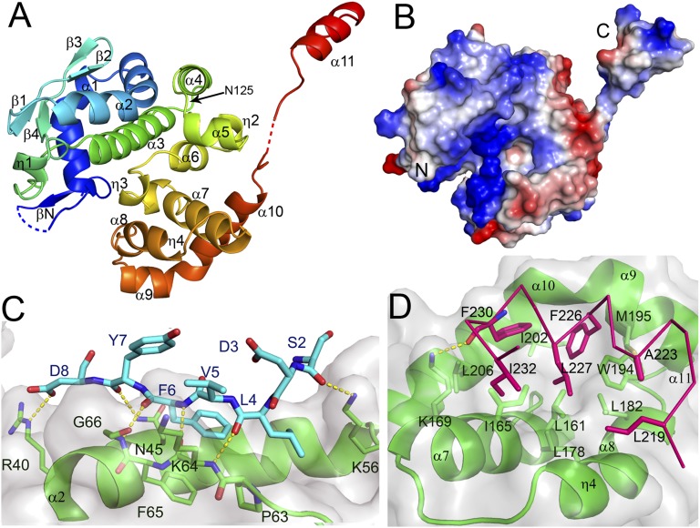 Fig. 2.