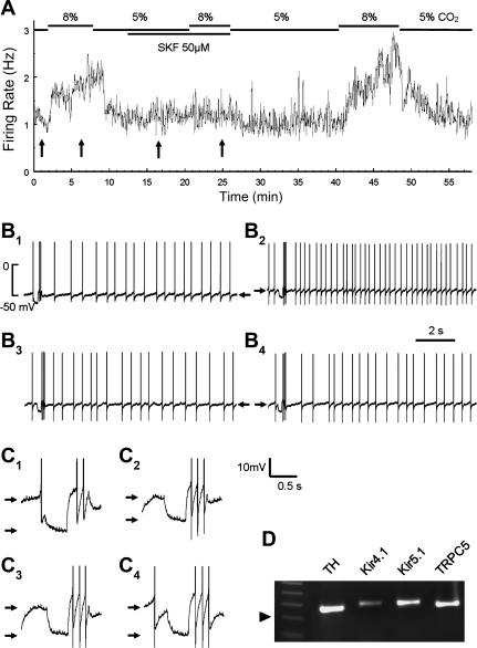 Fig. 6.