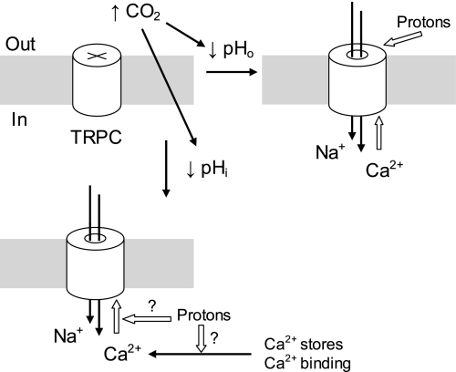 Fig. 8.