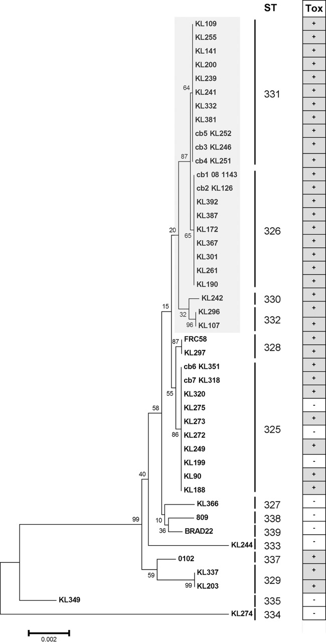 FIG 2