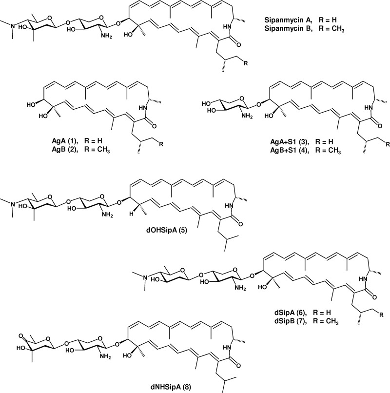 FIG 5