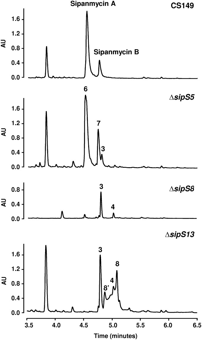 FIG 7