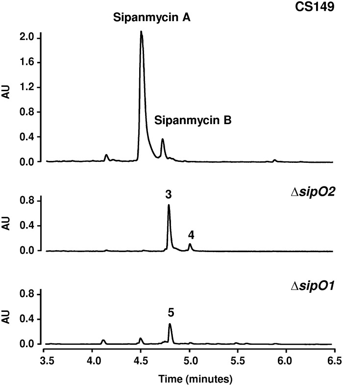 FIG 6