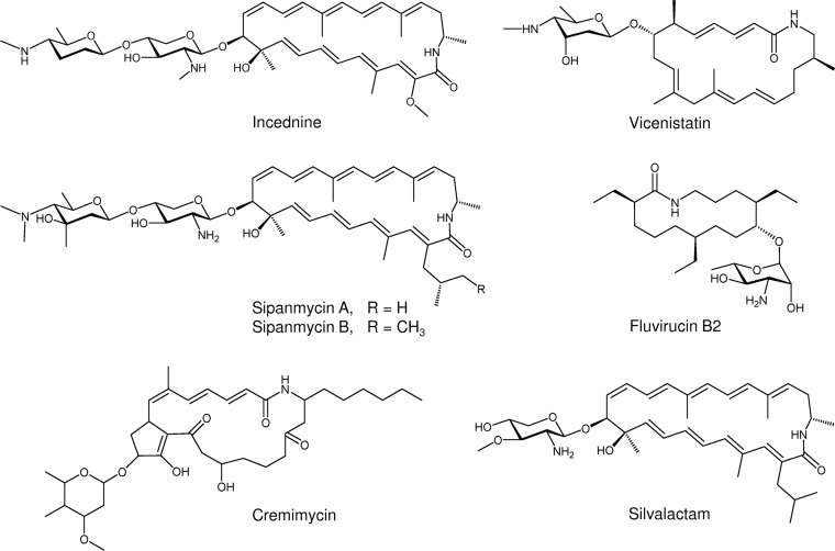 FIG 1