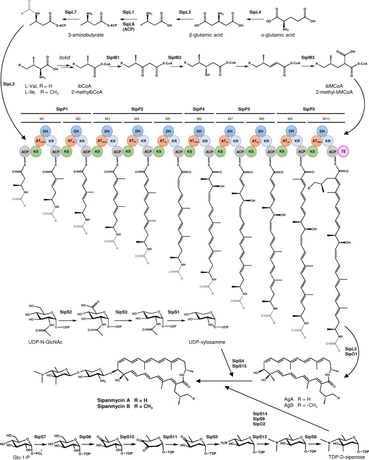 FIG 3