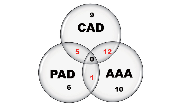 Fig.1. Venn diagrams of the group of patients with ACVD