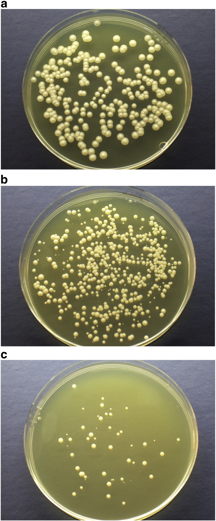 Fig. 6