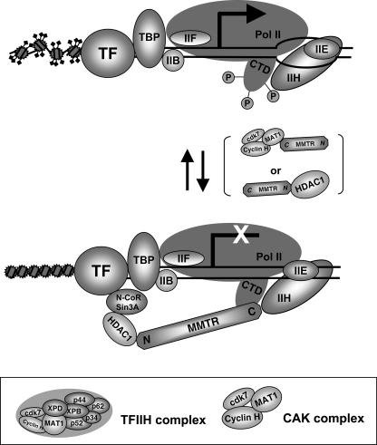 FIG. 7.