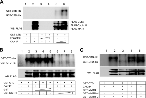 FIG. 6.