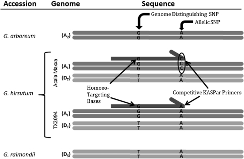 Fig. 3