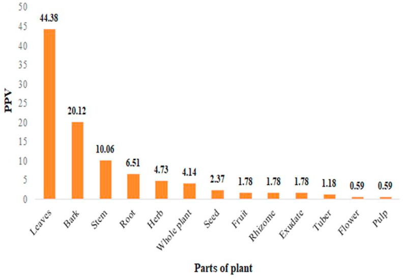 Figure 4