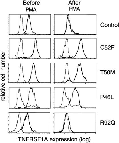 Figure  4