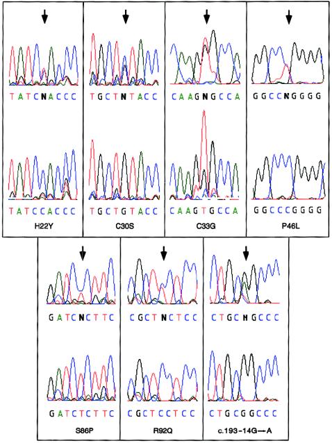 Figure  2