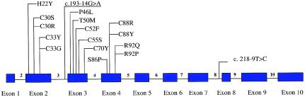 Figure  6