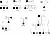 Figure  1