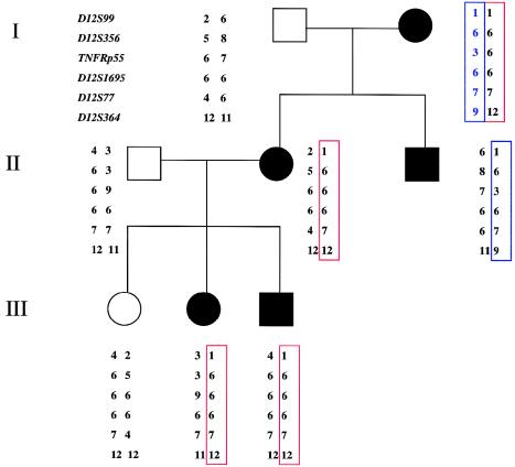 Figure  5