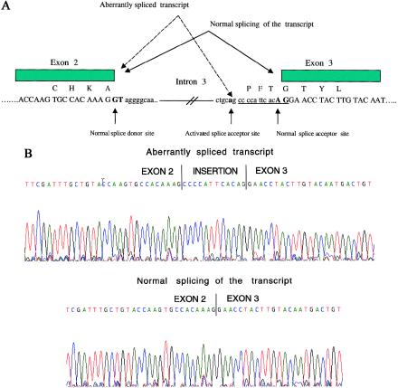 Figure  3