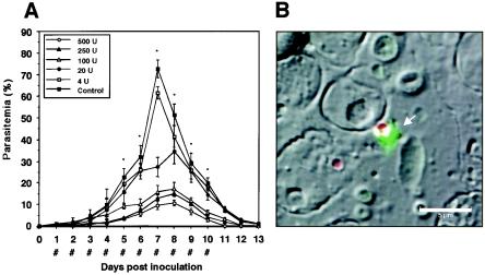 FIG. 5.