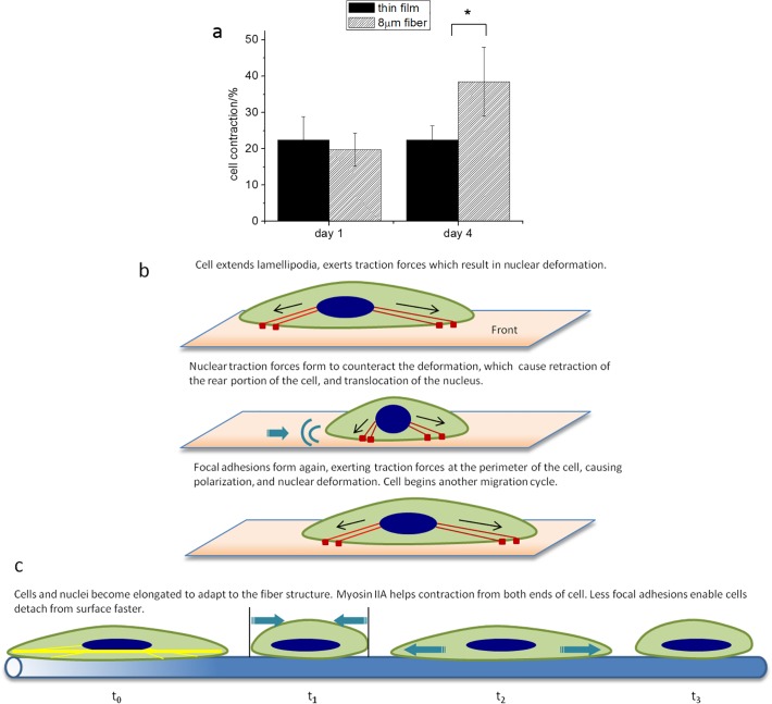 Fig 7