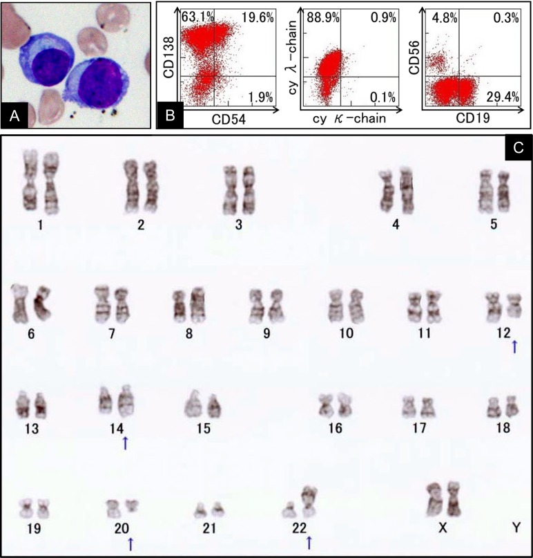 Fig. 1