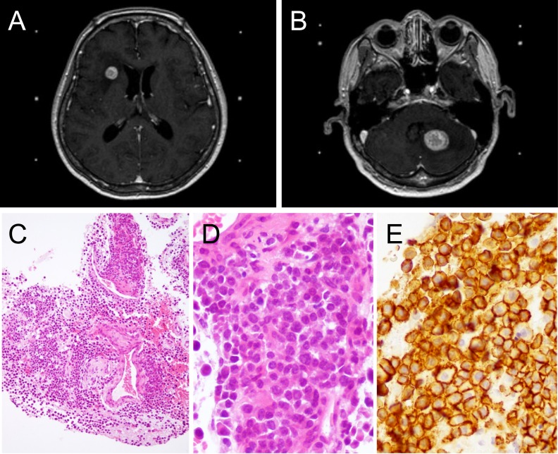 Fig. 2