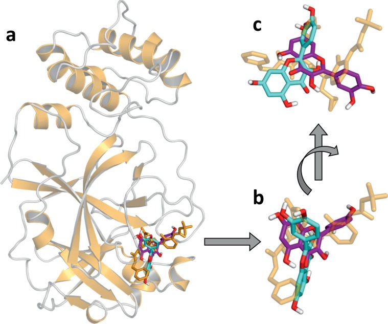 Fig. 9