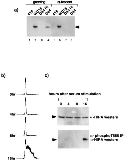 FIG. 7