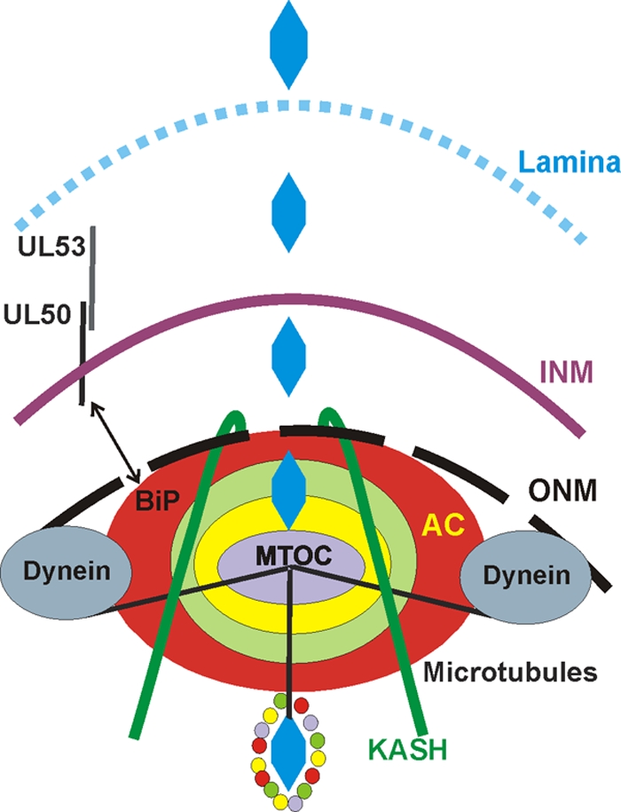 FIG. 10.