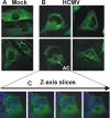 FIG. 8.