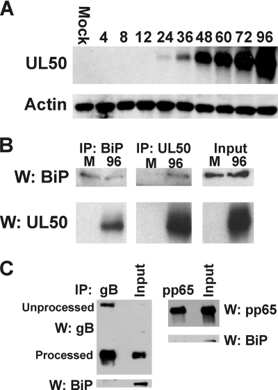 FIG. 7.