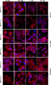 Fig 9