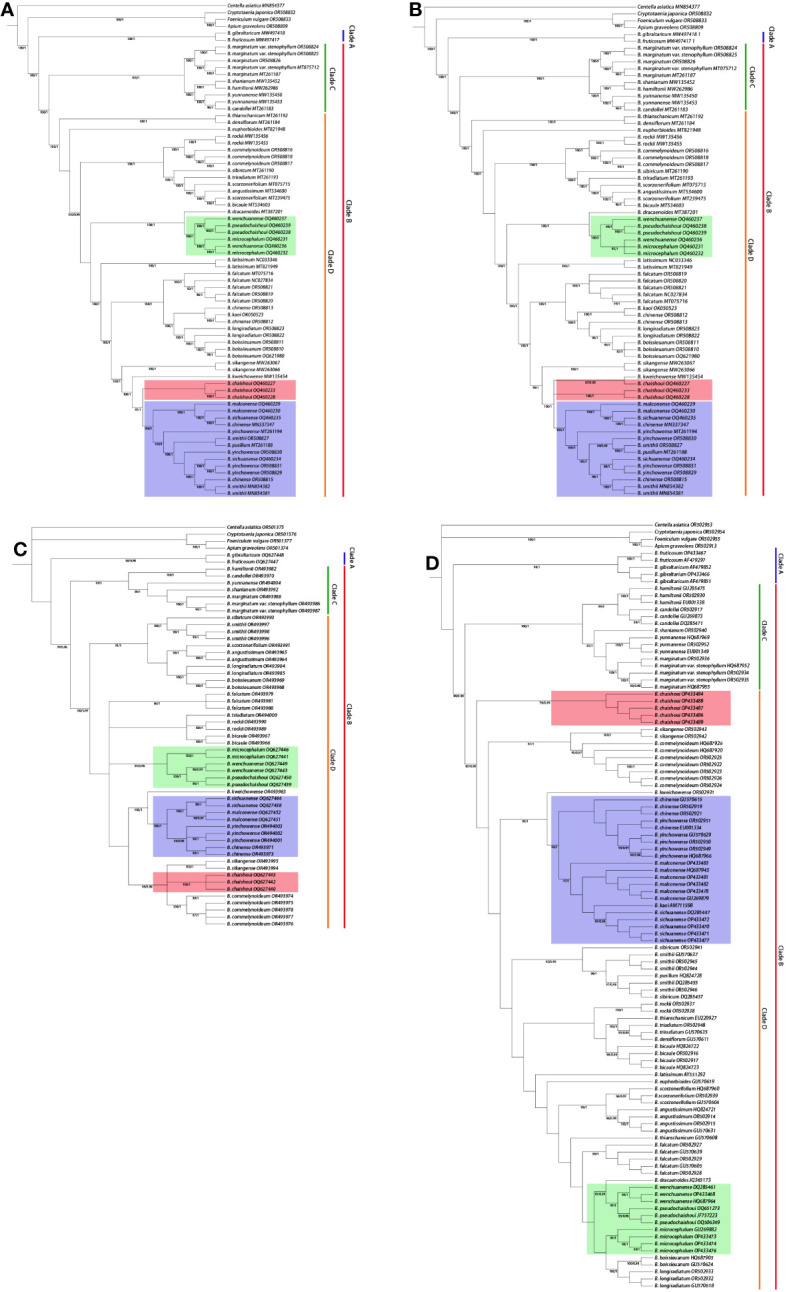 Figure 6