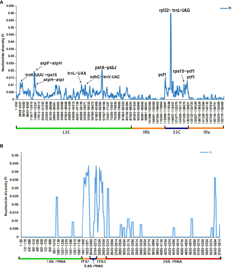 Figure 5