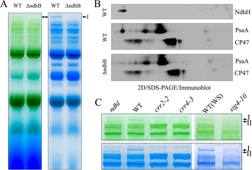 FIGURE 4.