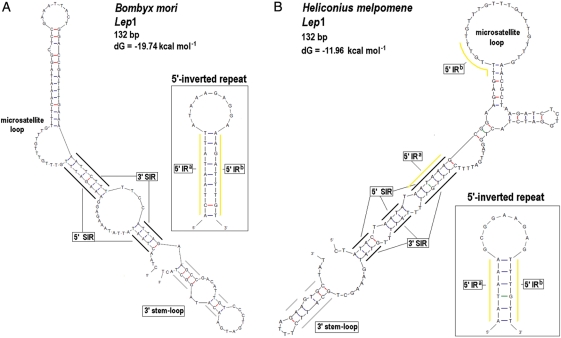 Figure 2.