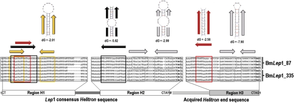 Figure 3.