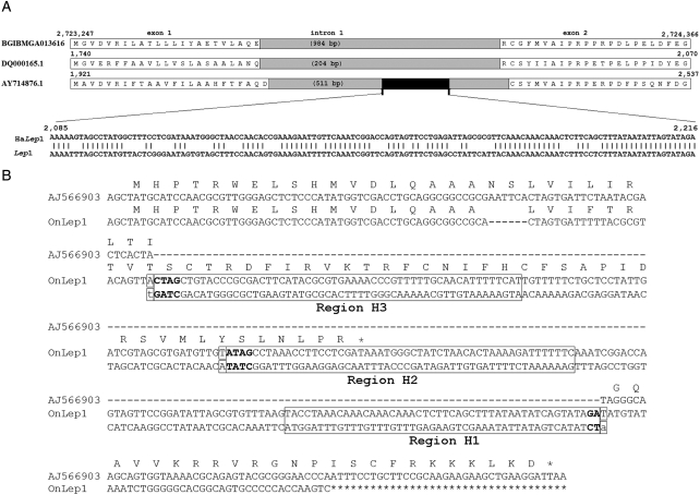 Figure 5.